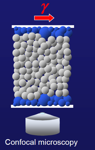Confocal microscopy model of colloidal particles under shear