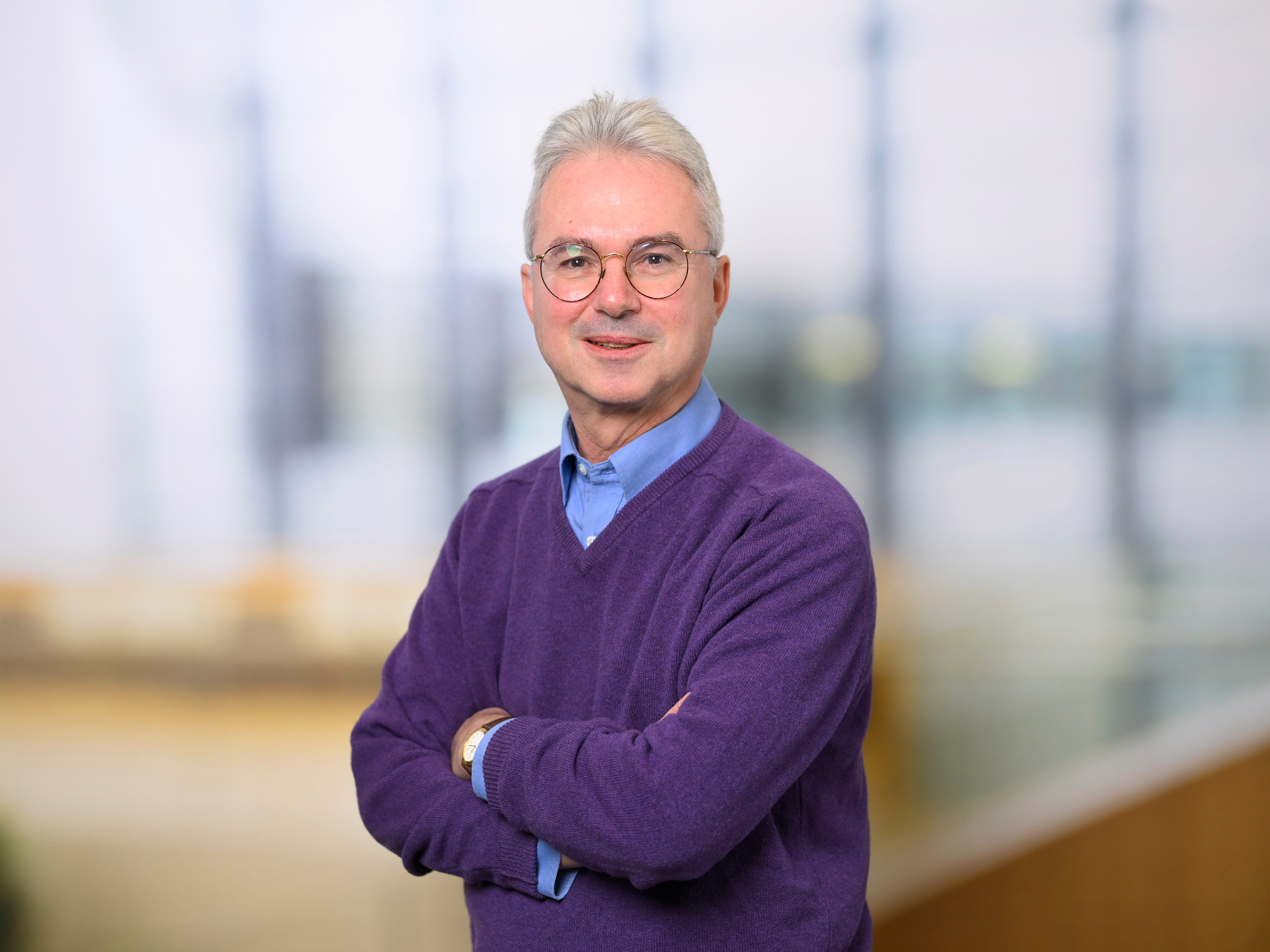 Portrait of Professor Laurens Siebbeles